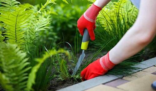 Gardening service and painting Gardening Service in Toronto